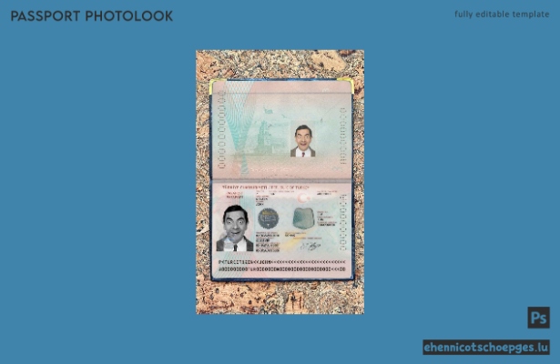 Türkei: Beispielansicht des neuen Passfotos